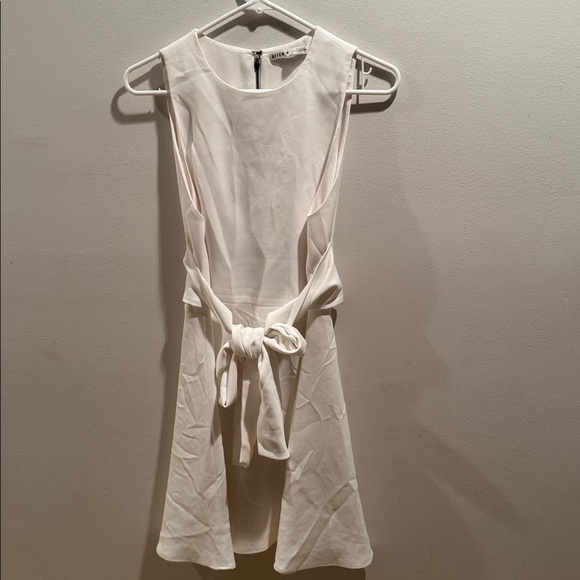 Alice + Olivia White Wesley Flare Mini dress 6 - Picture 3 of 10